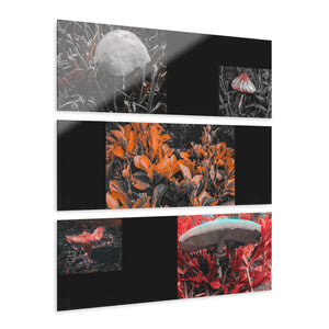 Acrylic Prints (Triptych)