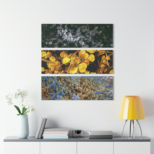 Acrylic Prints (Triptych)